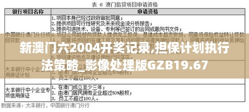 新澳精准资料免费公开,担保计划执行法策略_闪电版6.834