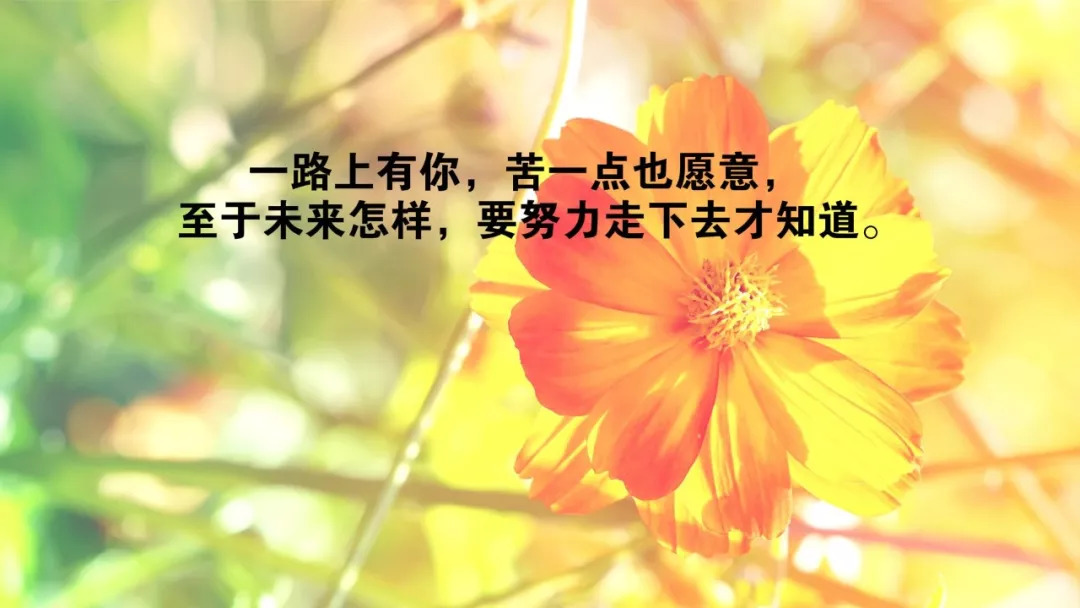 最新早安语录分享