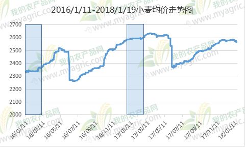 今日小麦行情，价格走势、故事与麦浪中的温情喜悦